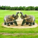 Elephant3